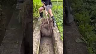 Soil clearing process for water channel [upl. by Eloisa]