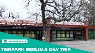 Tierpark Berlin a day trip Besuch im Tierpark [upl. by Denby]