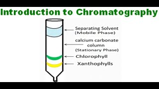 Introduction to chromatography [upl. by Auhsej]