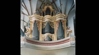 JS Bach Passacaglia und Fuge in c BWV 582 Andreas Fischer an der SilbermannOrgel Dom zu Freiberg [upl. by Ike]