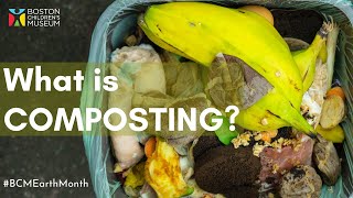 What is Composting and How Does it Work [upl. by Demodena633]