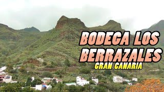 BODEGA LOS BERRAZALES  Gran Canaria 4k [upl. by Adianes]