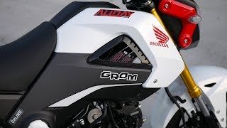 This is How I Made My Honda Grom FASTER  Intake amp ECU Flash [upl. by Jennifer]