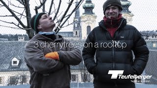 Three cherrytrees on a rooftop  Art installation at the HöhenrauschLinz with Marcus GeyerGrois [upl. by Laehcor456]