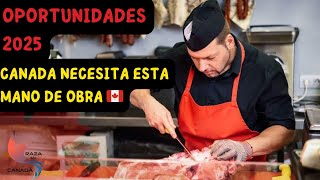 Trabajos en demanda en Canada [upl. by Rotce]