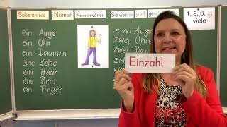 Deutschunterricht in der Grundschule Klasse 1 und 2 Substantive  Einzahl und Mehrzahlbildung [upl. by Selena]