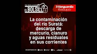 Esta es la historia de cómo se ha contaminado el río Suratá con mercurio y aguas residuales [upl. by Odlo]