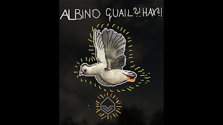 MALE ALBINO BOBWHITE QUAIL TheHunterCall Of The Wild [upl. by Faden349]