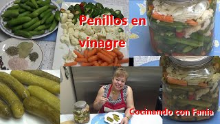 Como hacer pepinillos en vinagre receta facil [upl. by Atalanti]