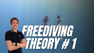 Learn BREATH HOLD Theory in 15 Minutes  Freediving for Beginners Part 1 [upl. by Eelamme175]