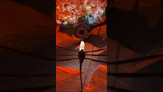 Making a miniature Dune diorama dune film miniature worm shorts art [upl. by Oruasi617]