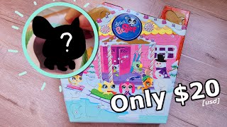 The LPS Advent Calendar EVERYONE Forgets [upl. by Athalee361]