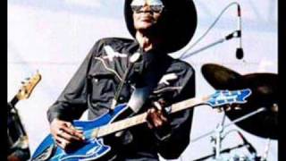 Clarence Gatemouth Brown quotStLouis Bluesquot [upl. by Kedezihclem565]