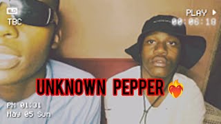 POP X  Unknown pepper feat Section A [upl. by Meng]