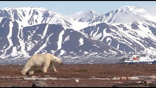 PolarNews Spezialreise Spitzbergen 2015 [upl. by Clementius]