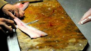 How to fillet a Walleye or Pickerel [upl. by Zippora777]