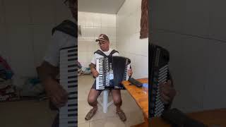 La MAGIA del acordeonista accordion sanfoneiro sanfona [upl. by Ycnaf]