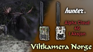 VILTKAMERA I AKSJON  Hunter Alpha Cloud 4G [upl. by Neahs740]