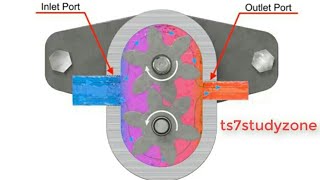 External Gear Pump Working Animation With Detail Explanation  TS7STUDYZONE [upl. by Rosanna]