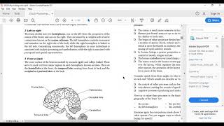 Psycholinguistics Lecture 1 Part A Language and Brain [upl. by Sommer]