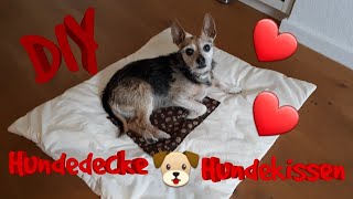 DIY Hundekissen DIY Hundedecke selber machen Hundekissen nähen Hundedecke nähen [upl. by Kirtap]