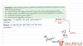 Assertion In diplontic life cycle gametophyte is dominant Reason In diplontic life cycle [upl. by Annai]