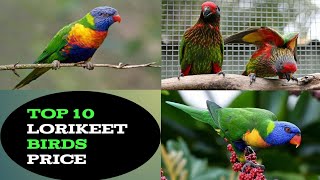 Top 10 Type Lorry keets Bird Price  Lorikeet bird Price in India 2023 [upl. by Arannahs367]