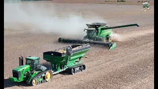 2024 Soybean Harvest in Indiana  West Central Indiana [upl. by Oicinoid]