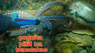 ep413 Dive1 malaking poguita pilit na tumatakas sa kasama ko [upl. by Naj]