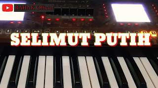 SELIMUT PUTIH Cover Roland ea7 [upl. by Kevan]