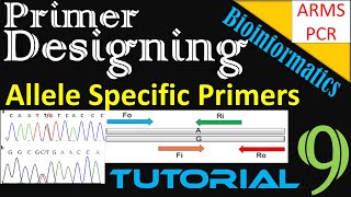 Primer Designing  Allele SNP Specific Primers Using BatchPrimer3  ARMS PCR  Tutorial 9 [upl. by Aihsena720]