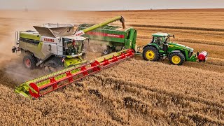 Wielkie żniwa 2024  Kombinat Rolny Kietrz  8x Claas Lexion [upl. by Eamon]