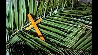 Sermon for Palm Sunday 2nd April 2023 [upl. by Bradley]