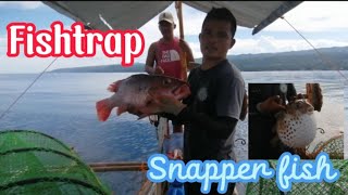 Bobo fishing fishtrap red fish [upl. by Nohsad68]