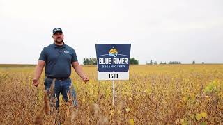 BLUE RIVER 1518N SOYBEANS  15 RM  ALBERT LEA SEED [upl. by Friedly]