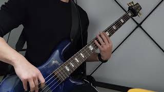 Cannibal Corpse  High Velocity Impact Spatter Bass Cover [upl. by Enirehtakyram]