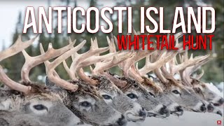 Whitetail Deer Hunting on Anticosti Island Quebec [upl. by Obbard]