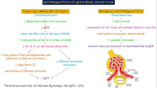 Autoregulation of GFR amp Renal Blood Flow Chapter 27 part 6 Guyton and Hall Physiology [upl. by Askwith]