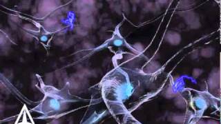 How Neurotransmission amp brain signals work  3D animation [upl. by Spitzer]