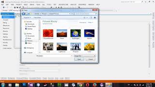 How to Display an Image in PictureBox in Runtime VB NET 2012 [upl. by Burnsed]