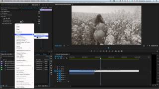 Premiere Tutorial Old Movie Effect in Adobe Premiere [upl. by Stalker213]