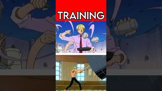 Zoro vs Sanji Training Techniques  One Piece [upl. by Droflim955]