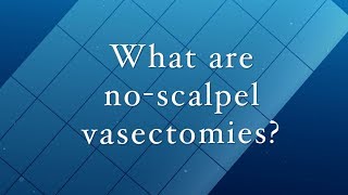 What Are No Scalpel Vasectomies [upl. by Aivekal437]