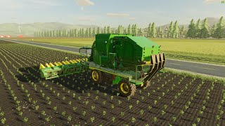 FS22 COTTON HARVESTING AND SOYABINE HARVESTING MICHIGAN FARM [upl. by Eltsyrhc]