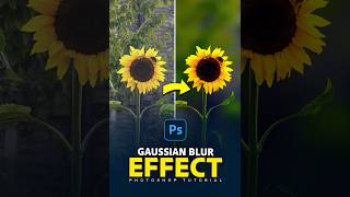 Photoshop Tutorial Create Stunning Gaussian Blur Effects [upl. by Nylhtiak161]