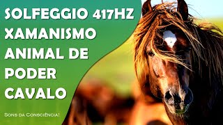 MÚSICA XAMÂNICA COM SOLFEGGIO 417HZ  CAVALO  ANIMAL DE PODER [upl. by Filippo]