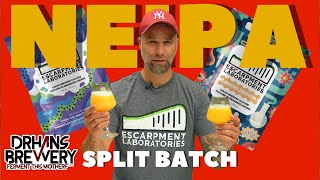 NEIPA Split Batch Grain to Glass  Escarpment Labs [upl. by Aitram]