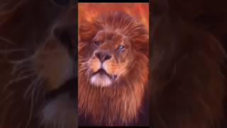 عالم النمور والأسود القوة والرشاقة في البرية 😱🐆🐅🦁 [upl. by Ongineb]