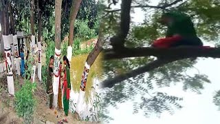 OMG  यह महिला पेड़ पर चढ़कर पढ़ती है नमाज़  REVEALED Woman Climbs Tree To Read Namaz [upl. by Lindie239]