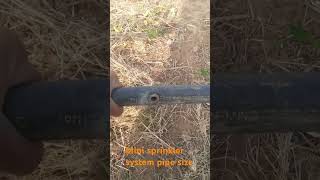 How to set mini sprinkler in pipe shortvideo vlog travel youtubevloggers [upl. by Suiramad47]